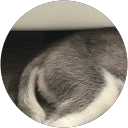 J Isidro profile picture